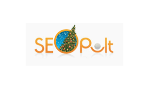 seopult-ny-thumb1