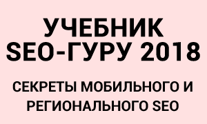 seoguru300